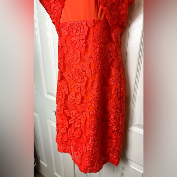 New NICOLE MILLER Artelier Vibrant Lace Orange Dress Shift Sheath Layered Floral - Picture 5 of 11